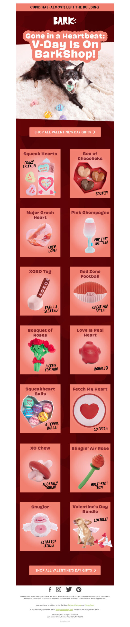 BarkShop, Valentine's Day email campaign