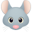 mouse face