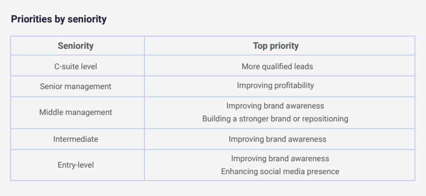 Marketing priorities by seniority levels using exclusive Dotdigital data