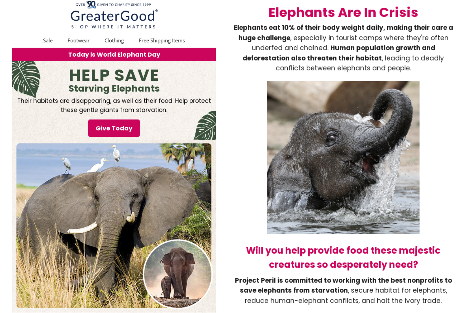 GreaterGood, World Elephant Day email marketing campaign.